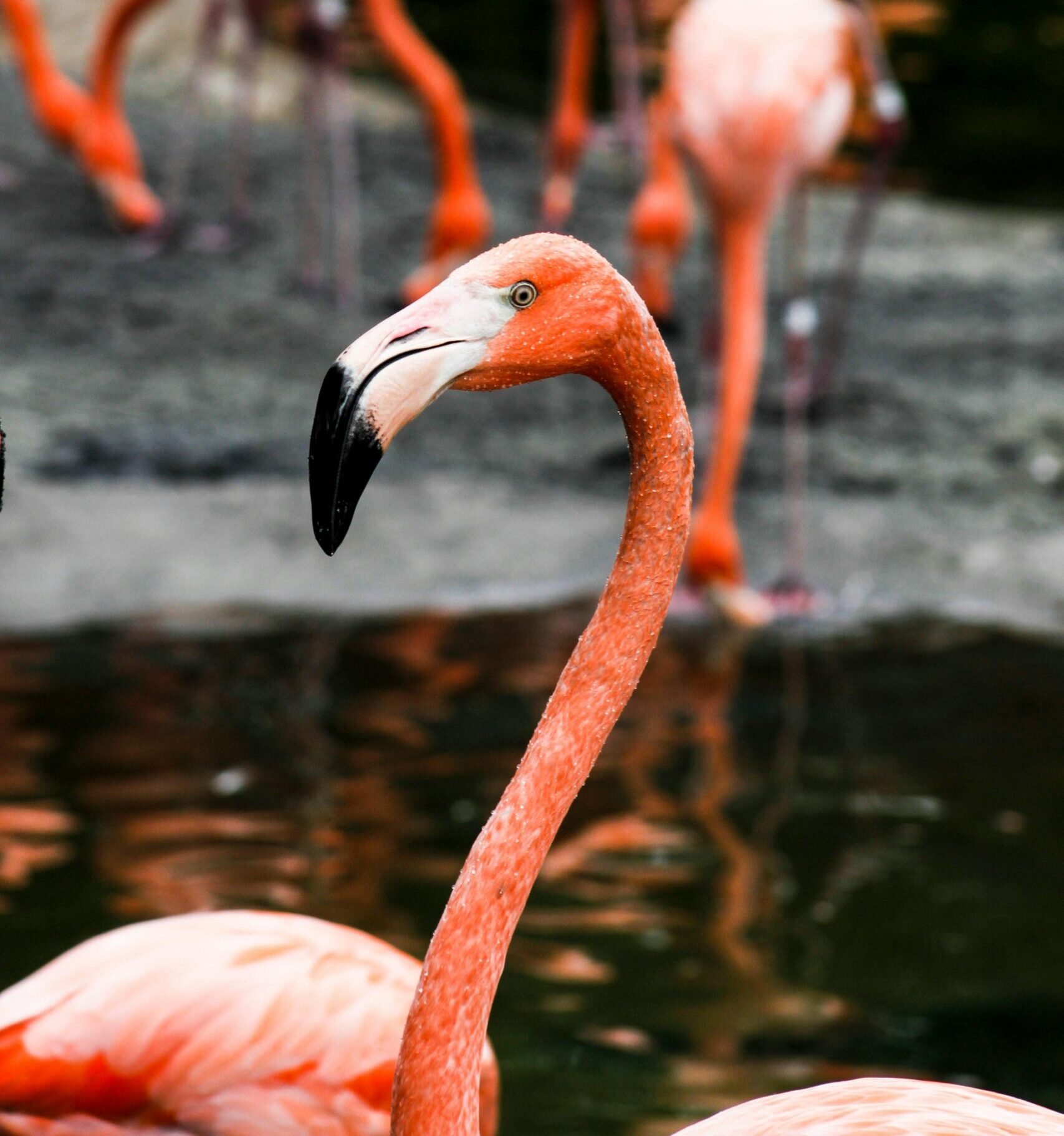 verduijn coaching supervisie mariska verduijn